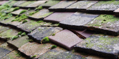 Kimberley roof repair costs